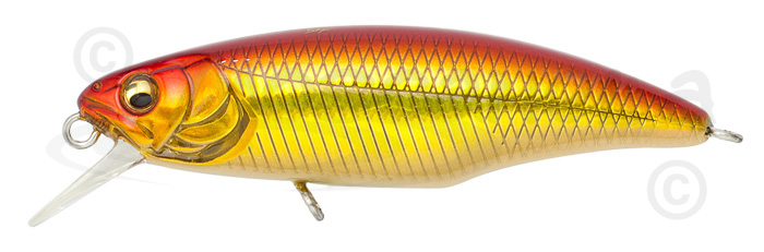 megabass great hunting minnow 48s megabass great hunting minnow 48s